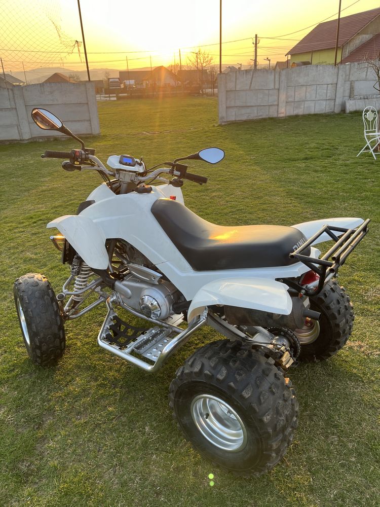 ATV Dinli 300 cc 2009