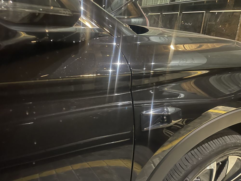 BYD Chempion Smart 2025.   еил янни мошина