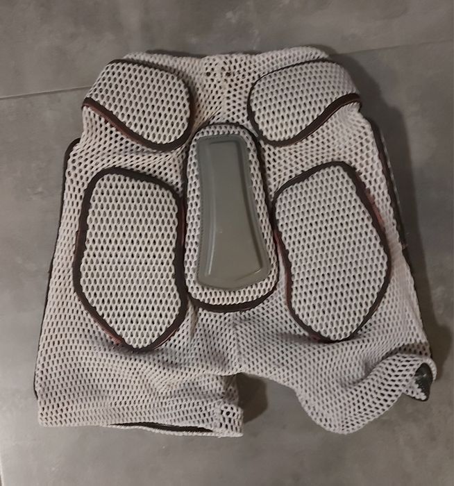 Protectie Dainese pentru spate si fund/ picioare