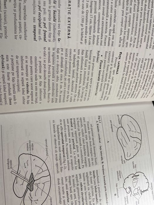 Tratat medicina Emisferele Cerebrale GH Petrovanu 1999 NOU rezidentiat