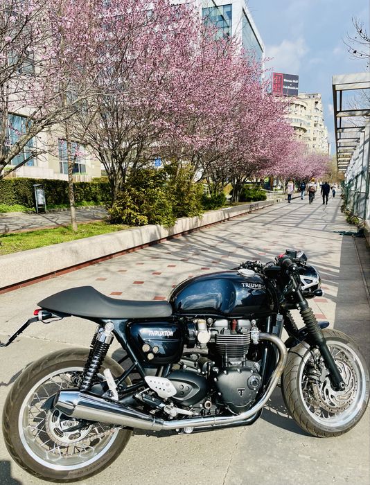 Triumph Thruxton 1200