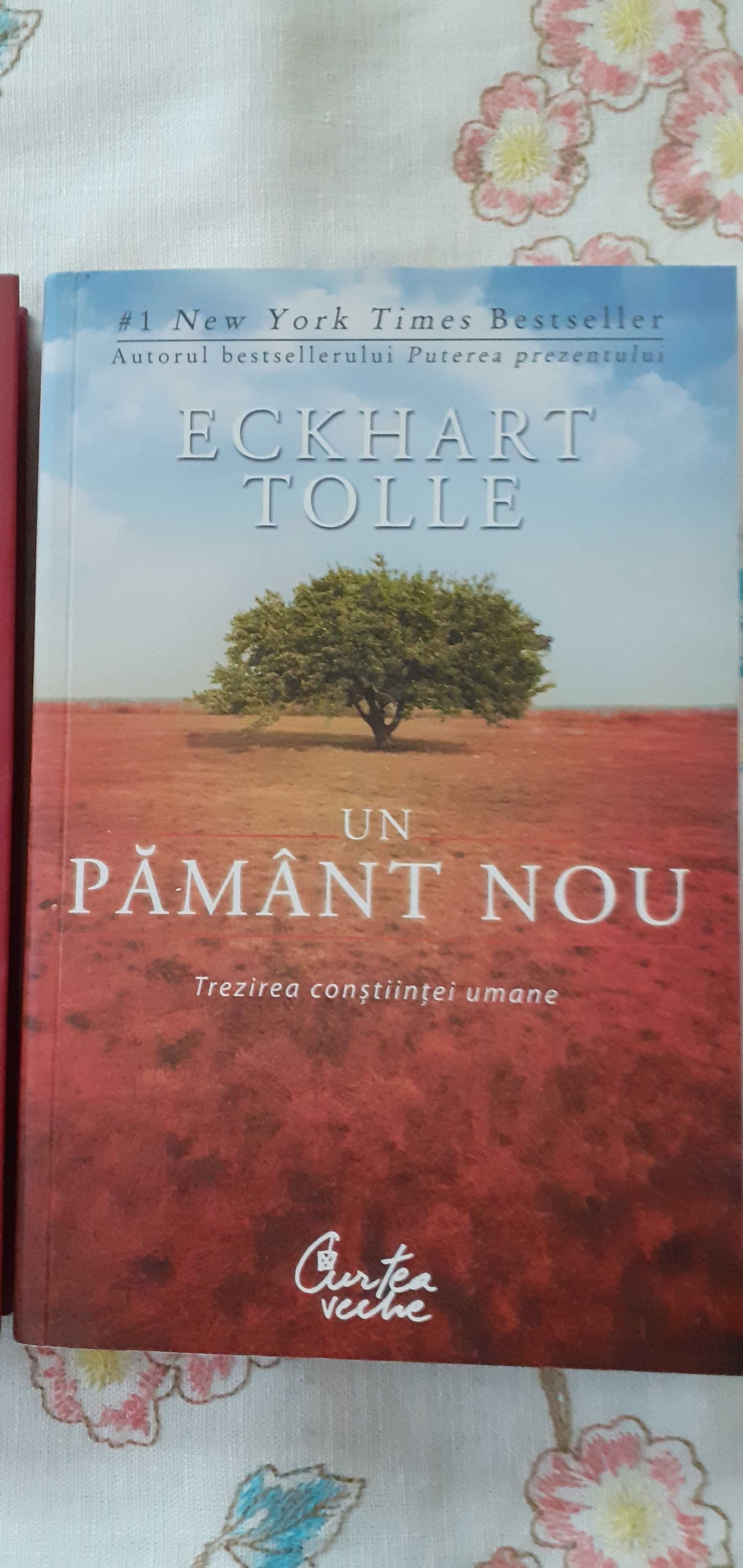 Carte, pachet, Eckhart Tolle, Puterea prezentului & Un pamant nou,