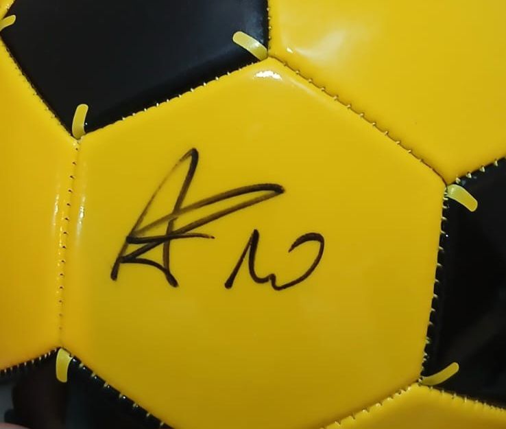 Minge Kipsta semnata Adi Mutu