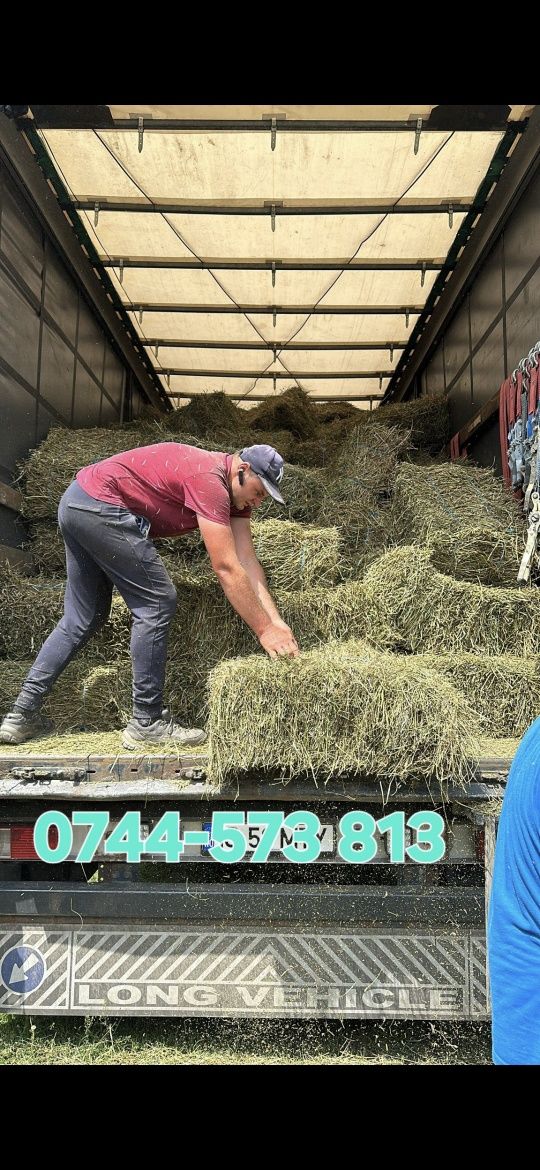 Baloti lucerna c2 min 500 400 cu transport inclus 21 lei bucata. 

Bal