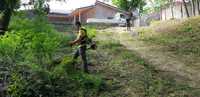 Defrisare cosire si curatare teren de iarba arbusti ambrozie