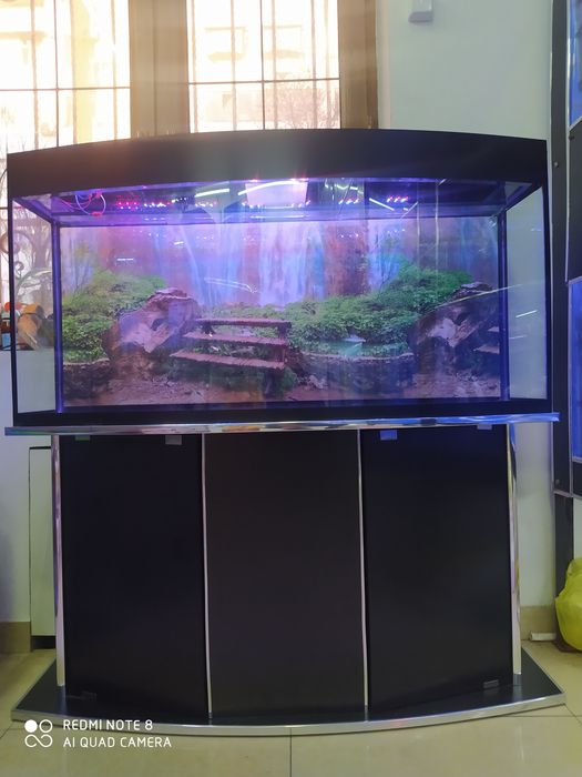 Akvarium 200 litrlik Avalniy