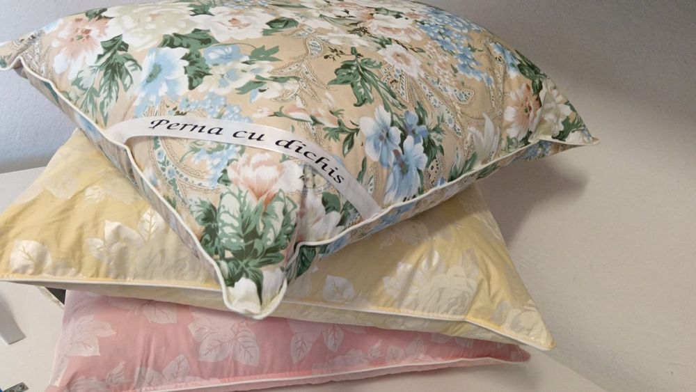 Perne Noi (Puf si pana de Gasca)