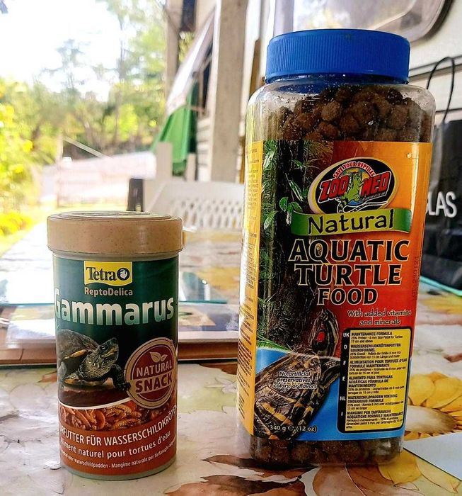 Vand broasca testoasa cu acvariu, incalzitor, aerator, insula si hrana