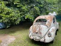 1955 VW Beetle (oval)