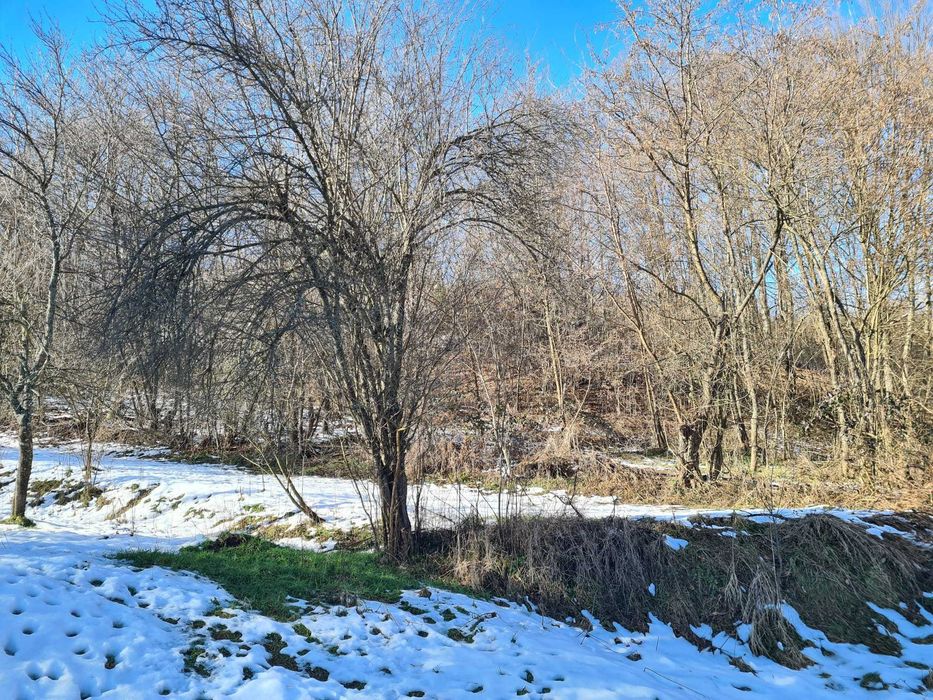 Teren intravilan de vanzare in Baia de Aramă