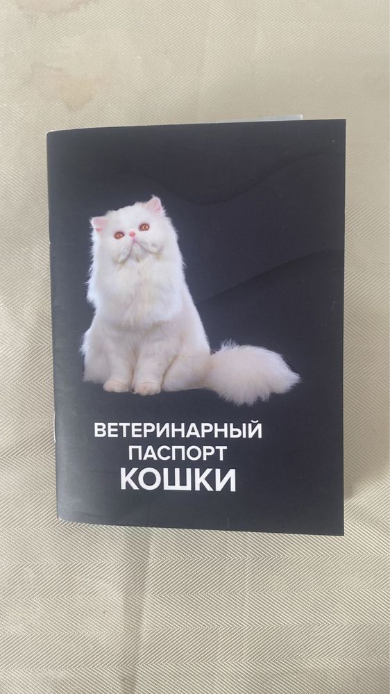 Отдам кота в хорошие руки бесплатно