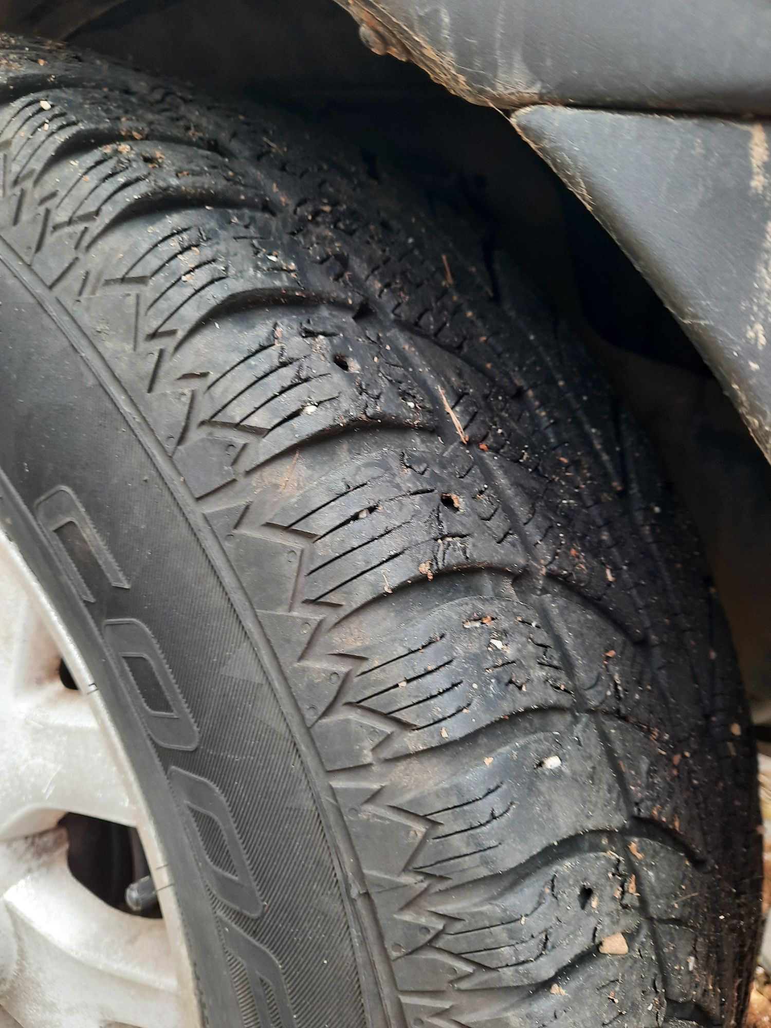 Санг Йонг Рекстон 2.7 hdi 2005г
