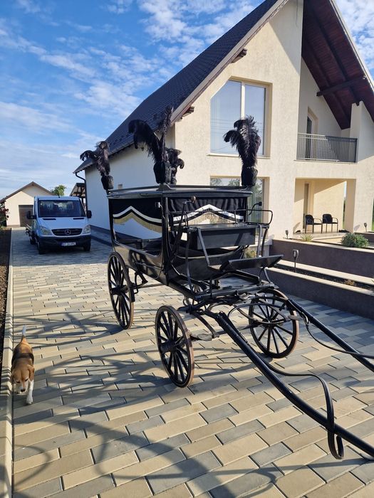 Trăsură cai pt înmormântare