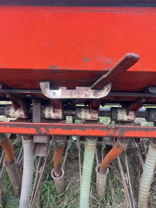 Semanatoare paioase Moreni