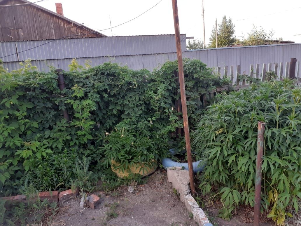 Продам часть дома