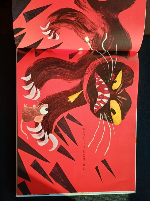 Carte copii "cu toții au văzut o pisică" explorat in imagini