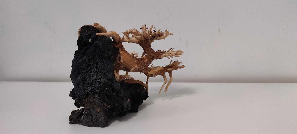Bonsai decorativ pentru acvariu