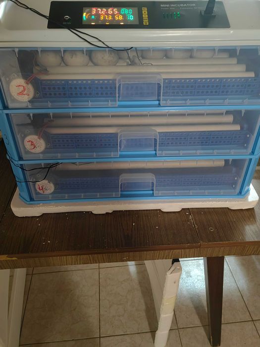 Инкобатор за 400 кокоши Яйца