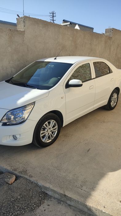 Кобалт йили 2024