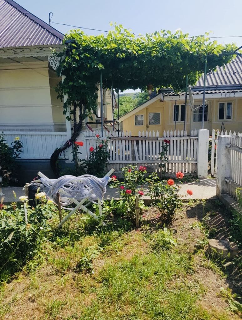 Vand casa batraneasca locuibila 5200 mp