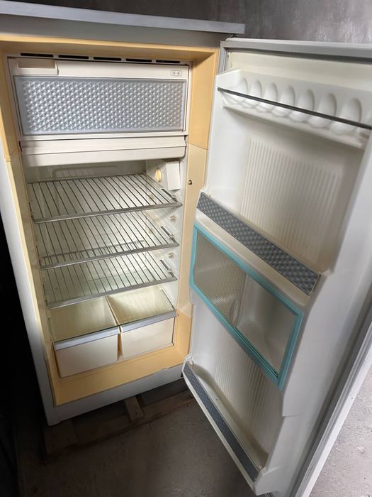 Muzlatgich, Холодильник