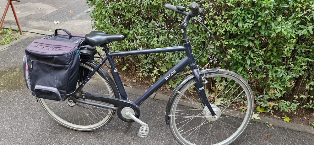 Bicicletă adulți electrică