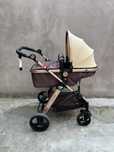 Carucior  Little Bird