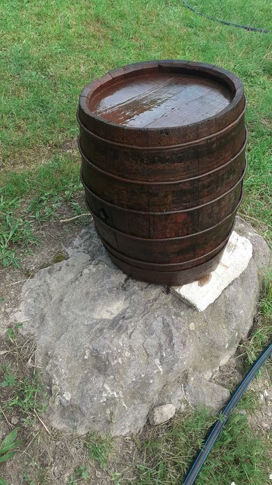 Butoi stejar, ghiveci plante ornamentale  gradina