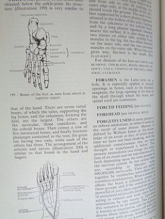 Black's medical dictionary