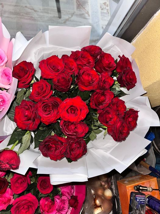 Гул свежий таза бүгін келген