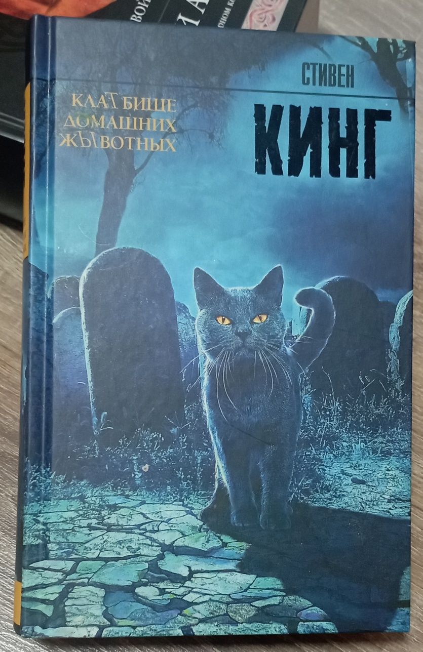 Книга Стивена Кинга Клатбище домашних жывотных