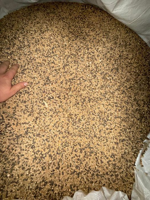 Mei și măzărică pentru păsări