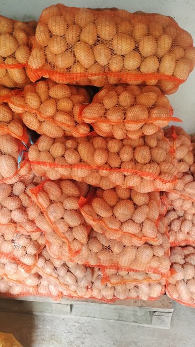 Cartofi pentru consum