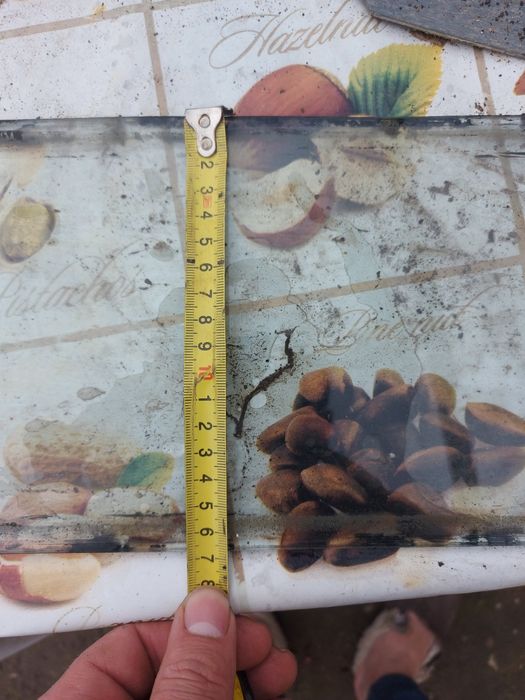 Geam cabină tractor și parbriz