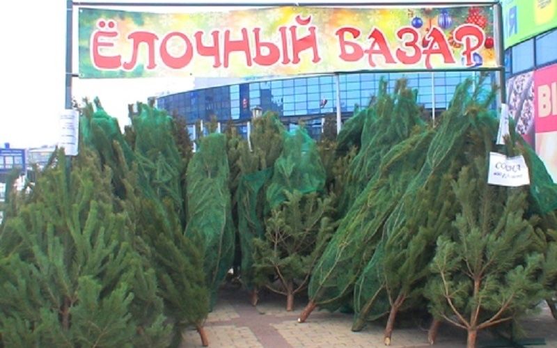 Сдам место для торговли елками и фейрверками