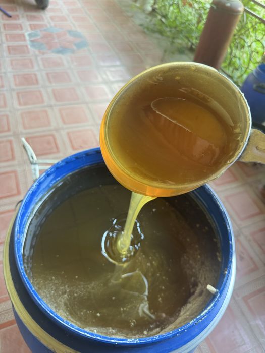 Asal honey мед для продажи