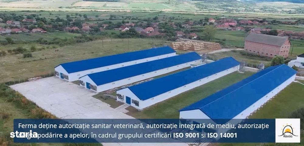 VAND FERMA ZOOTEHNICA 4 HALE a cate 780MP sat Maeriste jud.Salaj