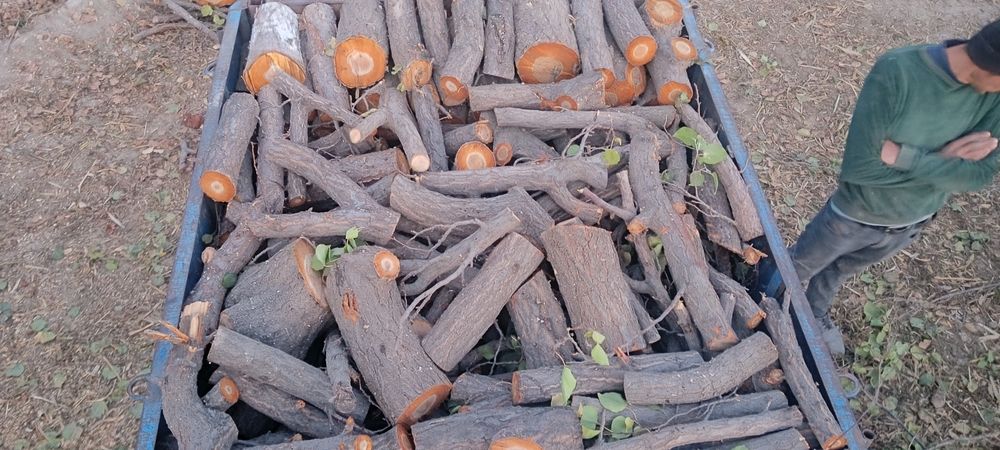 Залдори кундаси сотилади