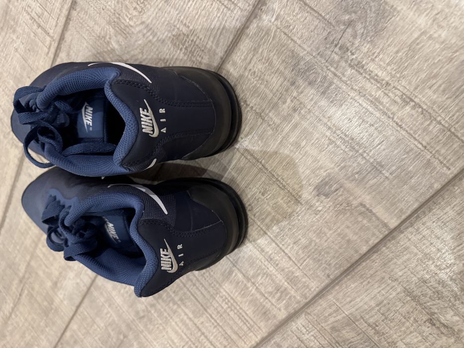 Pantofi sport nike