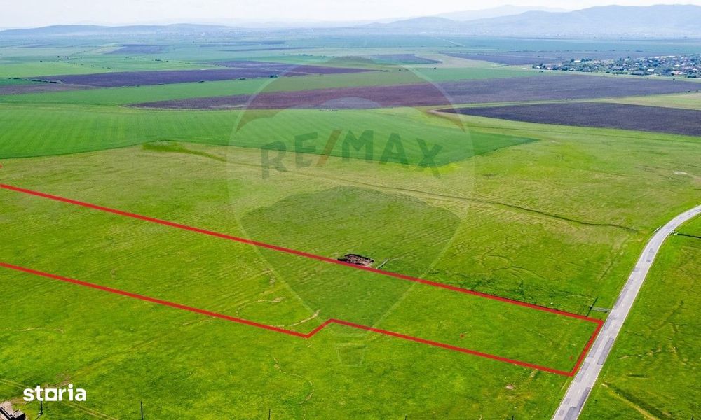 Teren agricol 5 ha, extravilan, 52 m deschidere la șosea