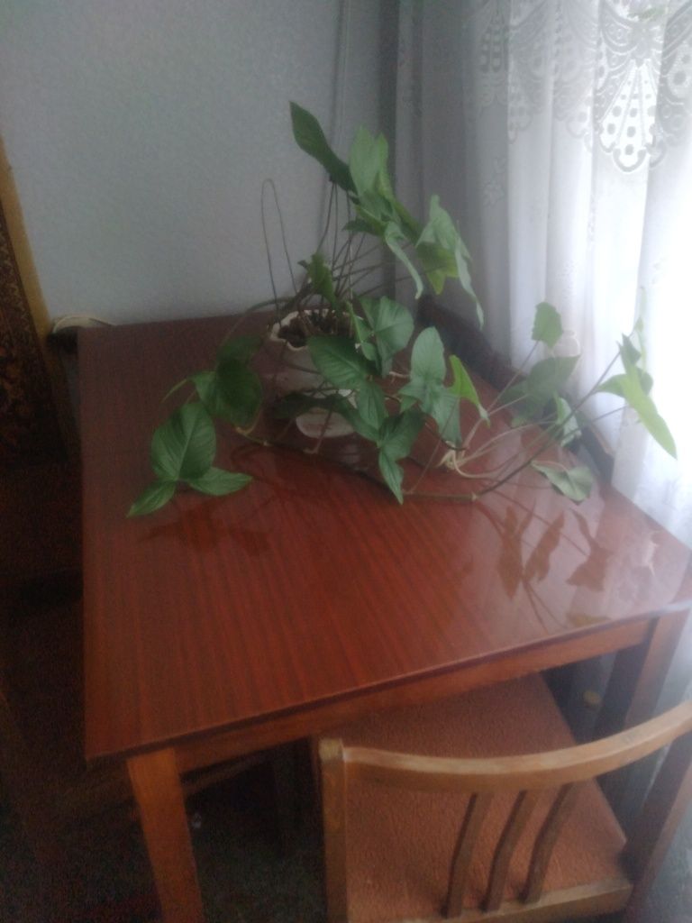 Стол деревянный б/у,советских времён. Полированный