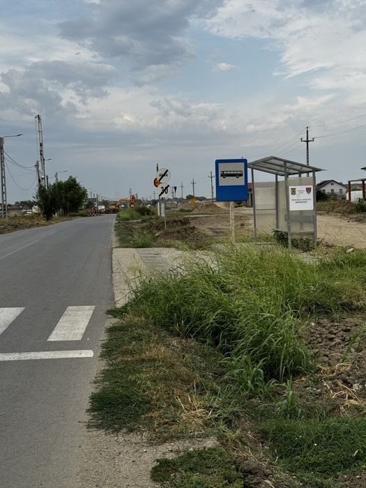 Teren Domnesti , Teghes 19.000mp desc 45m direct la drumul asfaltat !!