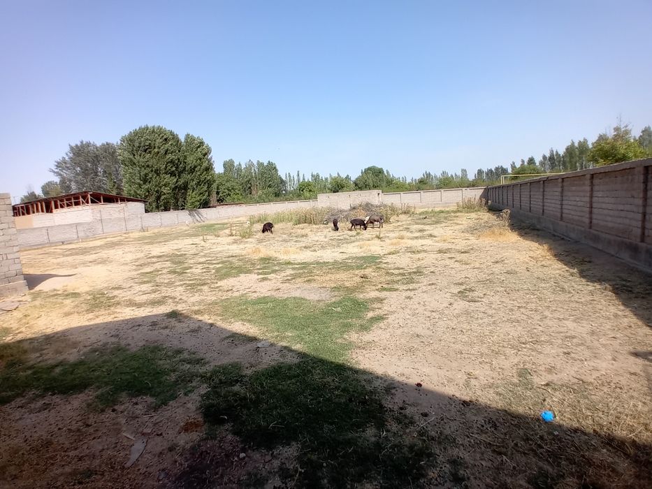 Toshkent tumani abdurahmonda 25 sutu fasat 60*42 ichkarisiga uglavo'y