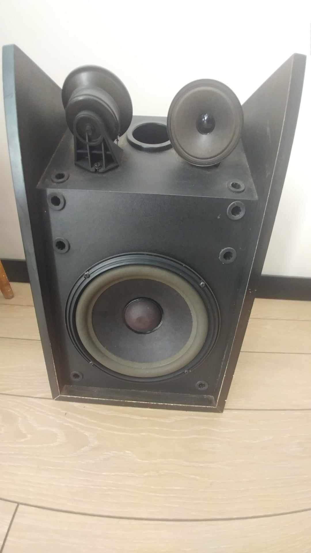 Bose 301 monitor 11