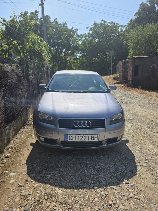 Audi A3 8p 2.0 TDI