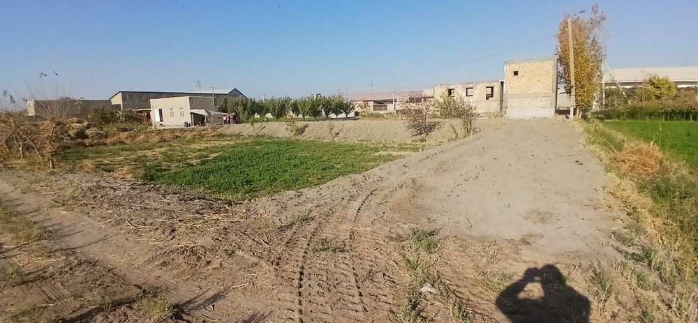 Хаммасига гарантийа