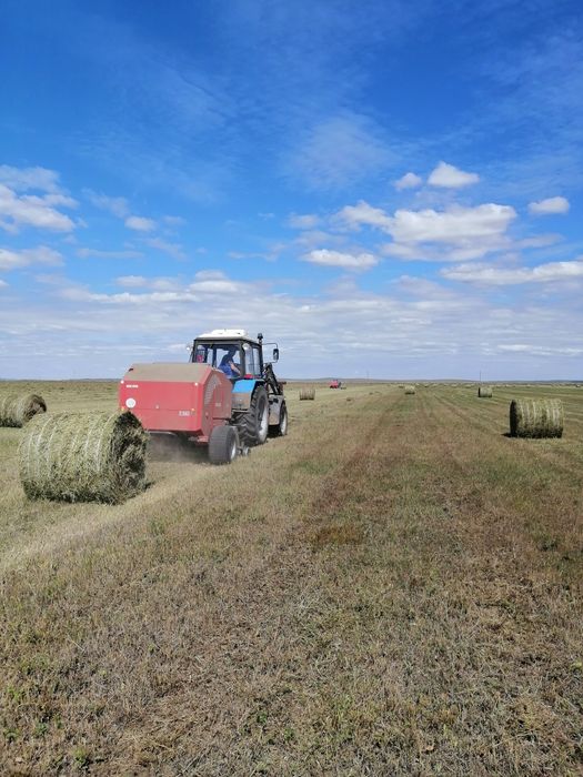 Продаю сено в рулонах 8000 тенге село Коктас, доставка по договорённос