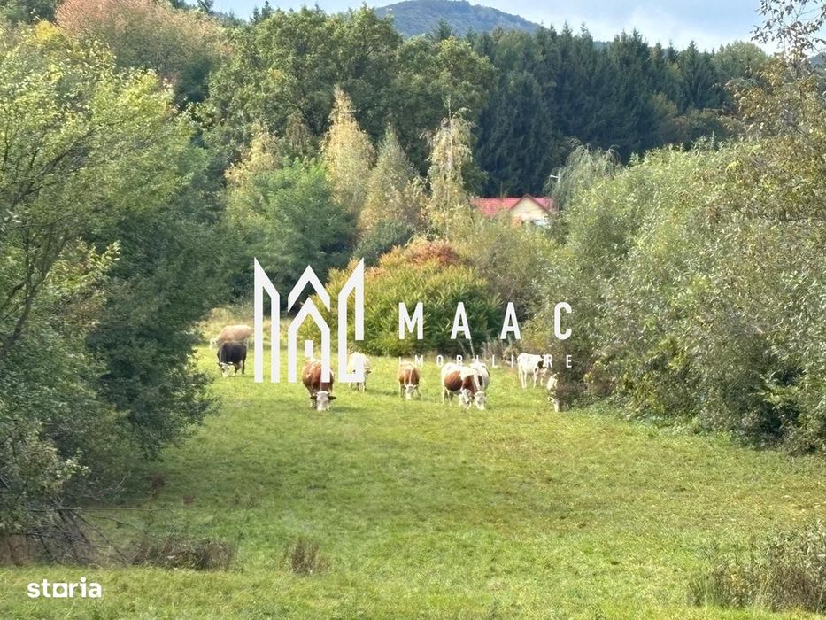 Teren intravilan | UTILITATI | 4717MP | TOCILE