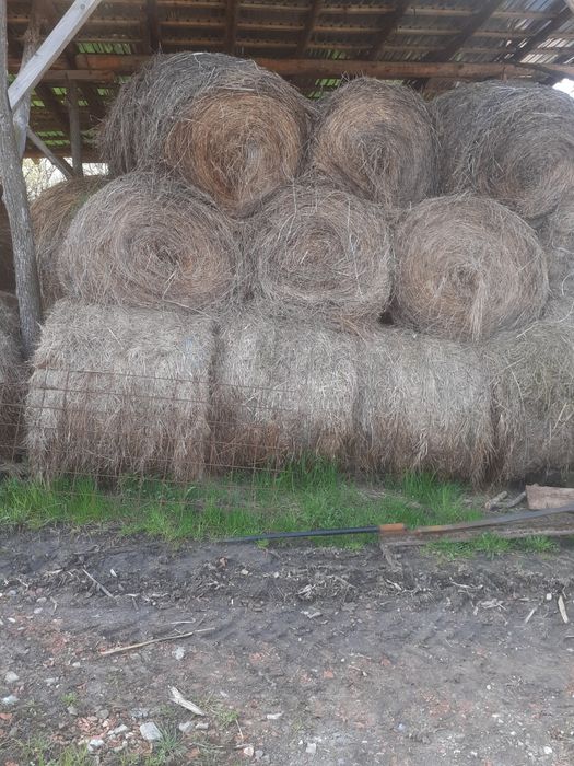 Baloti de fân schimb cu animale