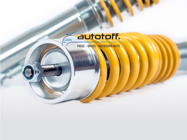 Suspensie sport reglabila Porsche Cayman (05-13) FK Germania